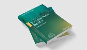 The Italian Water Industry. Cases of Excellence