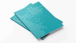 Executive Summary - Rapporto OSWI 2022