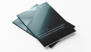 Executive Summary - Rapporto CESEF 2024